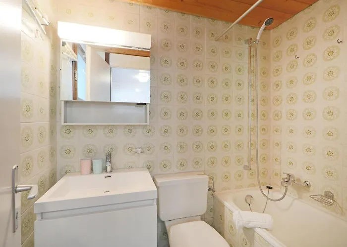 Les Petites Maraiches 132-389 By Interhome Apartment Taveyannaz