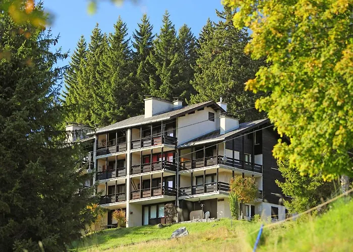 Apartment Les Petites Maraiches 132-389 By Interhome